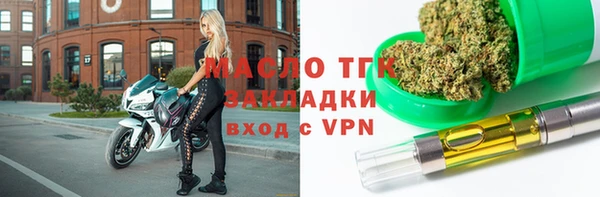 СК Алексин