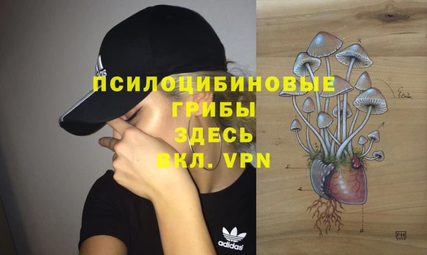 тгк Алексеевка