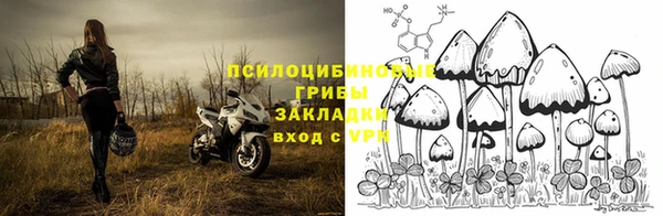 тгк Алексеевка